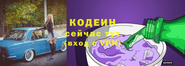 молекула духа Бронницы