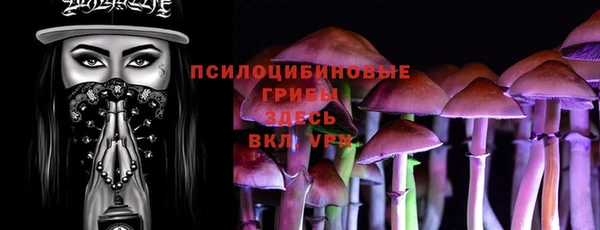 молекула духа Бронницы